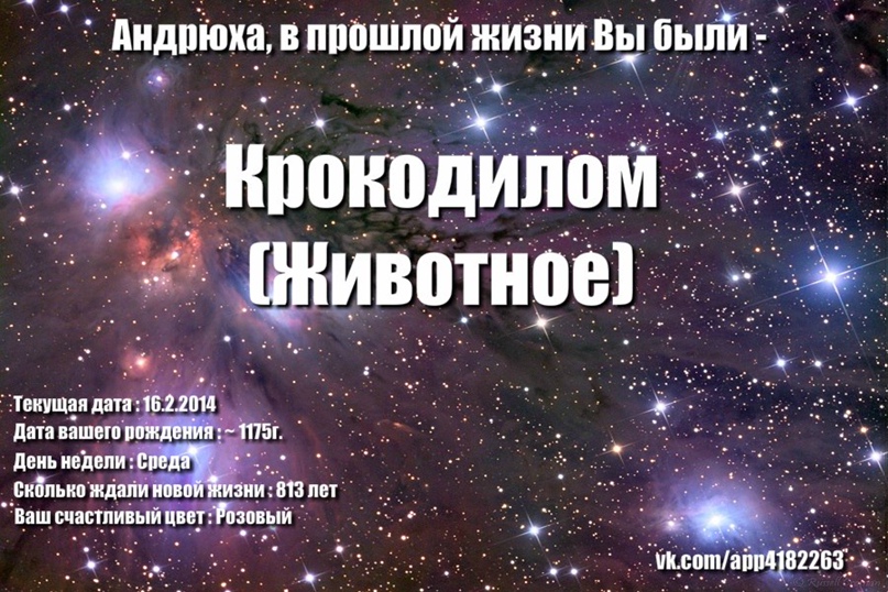 Андрей Моисеенко | Череповец