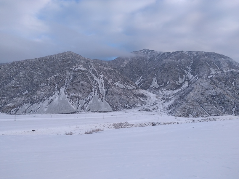 Миша Димитриев | Новосибирск