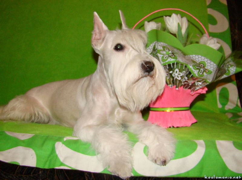 Сергей Русанов | Мантурово