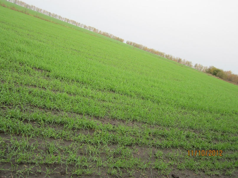 Татьяна Москаленко | Москва