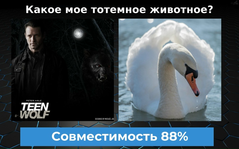 Татьяна Щурова евгеньевна | Москва