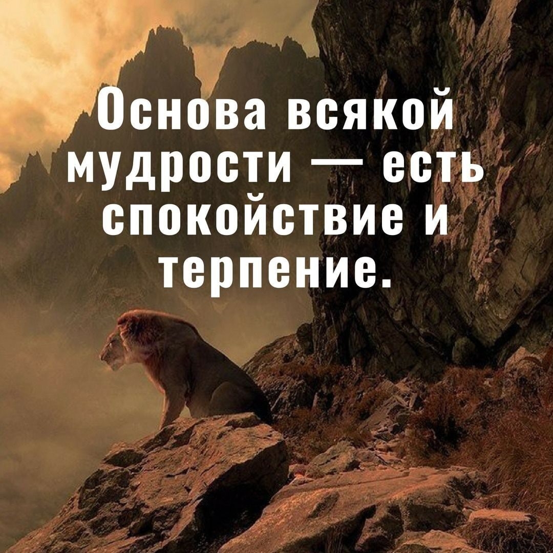 Афоризмы про терпение