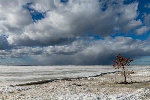 Море в апреле Море в апреле