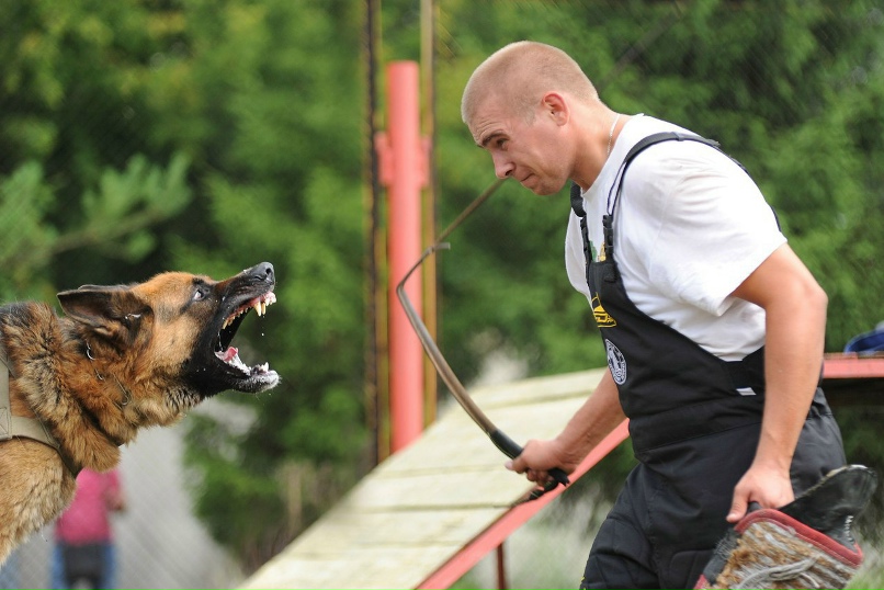 Евгений Зубарев | Омск