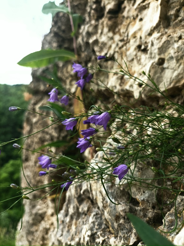 Ольга Касьянова | Воронеж