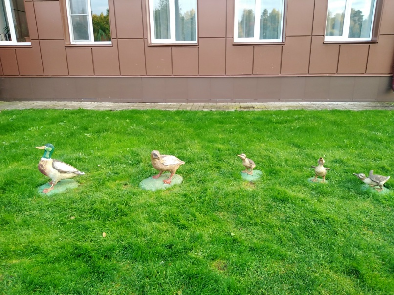 Мария Ленькова | Вологда