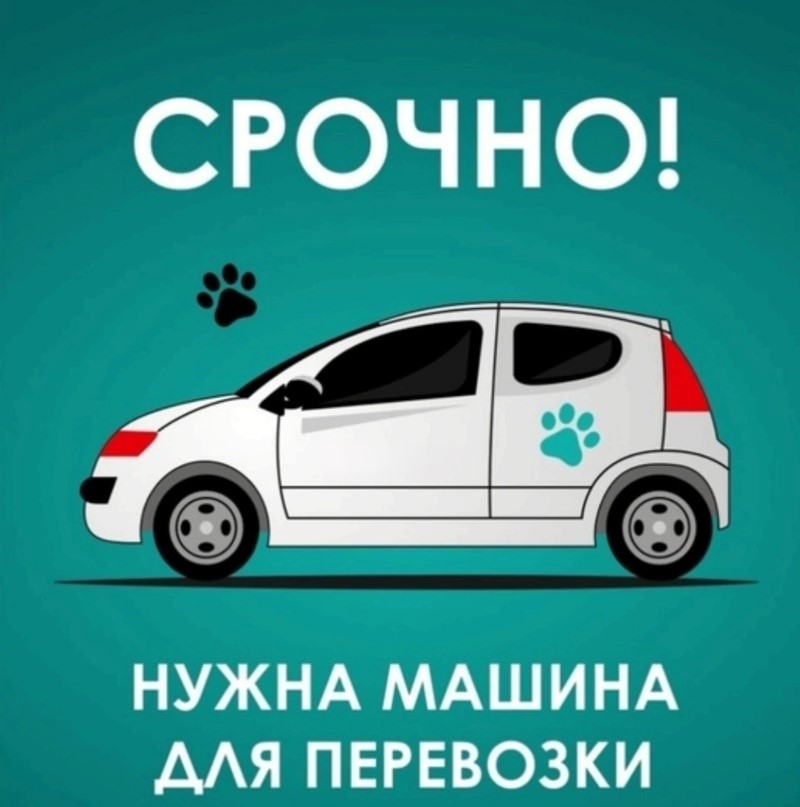 Нужна машина фото Нужна машина фото