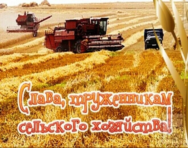 Интеллектуальная игра ко дню работников сельского хозяйства "Золотые руки" 2023,