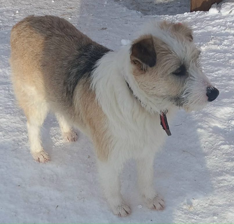 Светлана Репина | Саратов