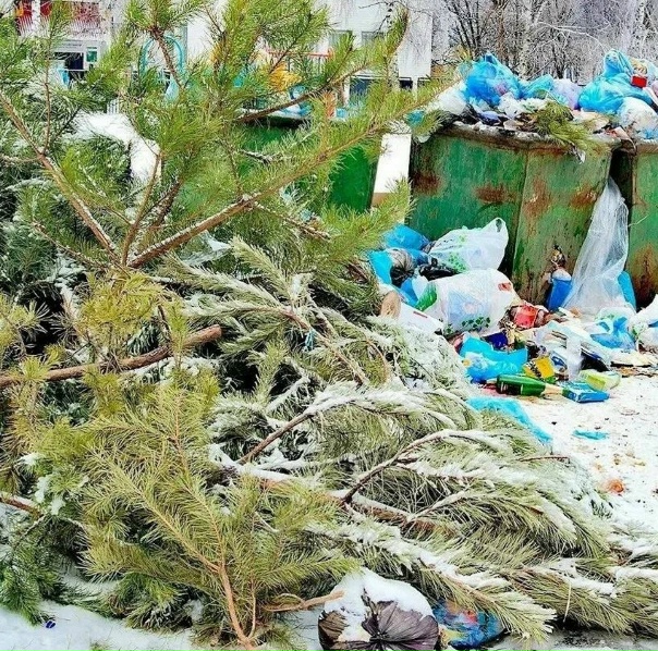 ‼️Брянцев просят правильно выбрасывать новогодние...