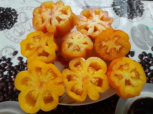 Калифорнийский тюльпан - К - сорта томатов - tomat-pomidor.com - отзывы на форум