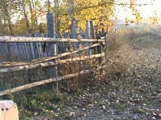 Сказание о небесном коне. Орловская рысистая порода