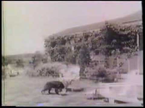 JUDY GARLAND Over the Rainbow 1943 Command