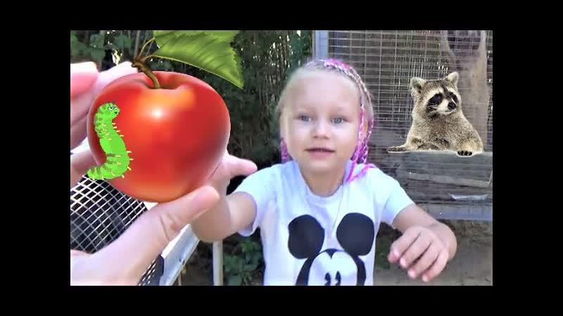 Алиса кормит ЕНОТА Мини зоопарк для детей Alice feeds the RACCOON Mini zoo