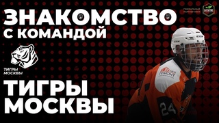 ЗНАКОМСТВО С КОМАНДОЙ ТИГРЫ МОСКВЫ | SHL