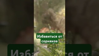 Пересмотреть ПРОШЛОЕ и узнать новое о себе #джодиспенза