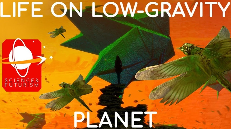 Life on a Low Gravity