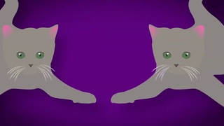 Джексон Гэлакси. Как познакомить кошек друг с другом
