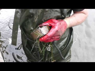 Жулики выкинули улики в воду а я выловил магнитом