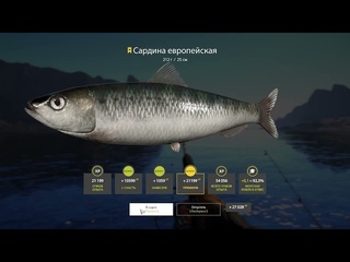 Сардина трофейчик с берега. Russian Fishing 4 2024 01 06