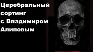 Церебральный сортинг с Владимиром Алиповым