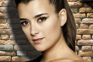 The Untold Truth Of NCIS