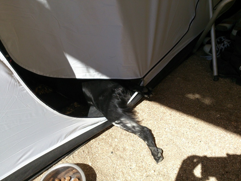 Евгений Курицын | Воронеж