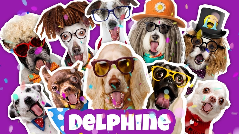 JOYEUX ANNIVERSAIRE DELPHINE Chanson drôle par une meute de chiens
