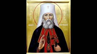 СВЯЩЕННОМУЧЕНИК ПЁТР, МИТРОПОЛИТ КРУТИЦКИЙ.