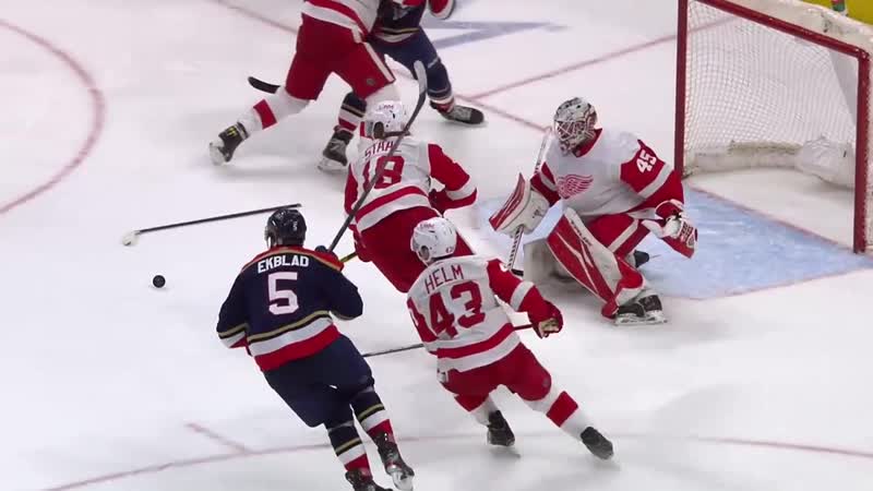 Recap: FLA DET Feb 20,