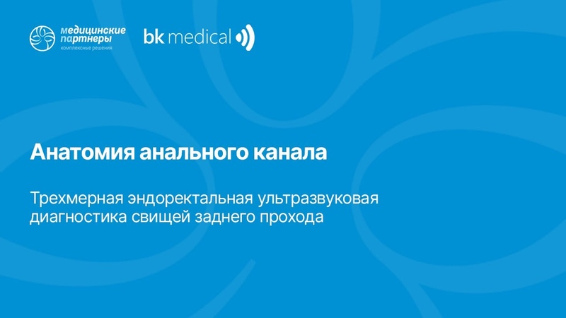 Анатомия анального