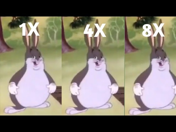 Big Chungus But It keeps Getting Faster Bugs