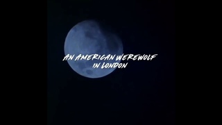 An American Werewolf in London | edit