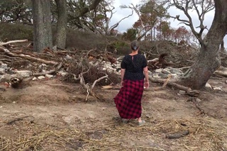 driftwood beach jekyll island