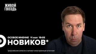 Илья Новиков* / Особое мнение //