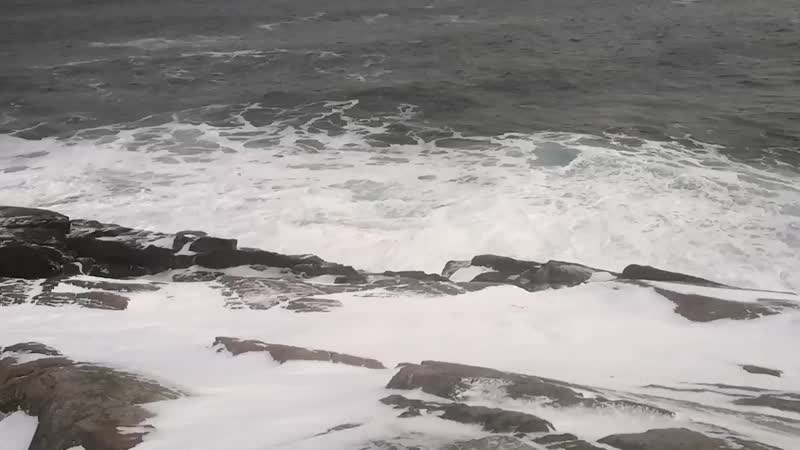 VID_20210106_113044.mp4